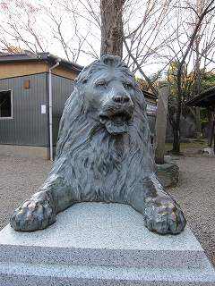 20120107-069.jpg