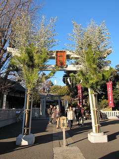 20120107-071.jpg