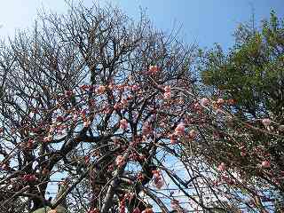 20120303-009.jpg