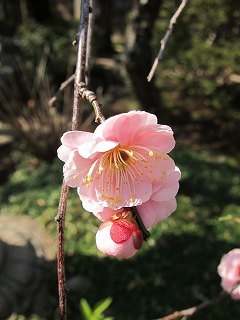 20120303-010.jpg