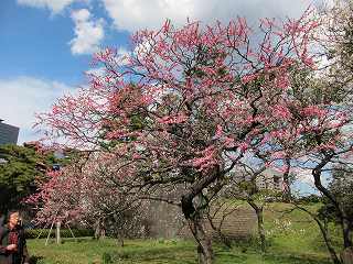 20120325-009.jpg