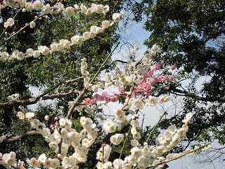 20120325-012.jpg