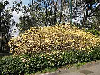 20120325-014.jpg