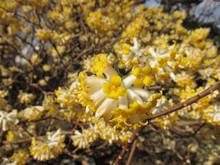 20120325-013.jpg