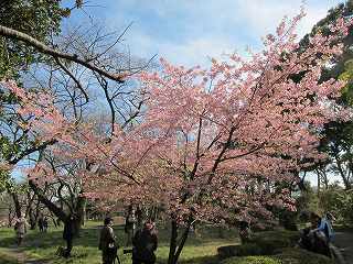 20120325-015.jpg