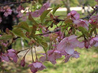 20120325-017.jpg
