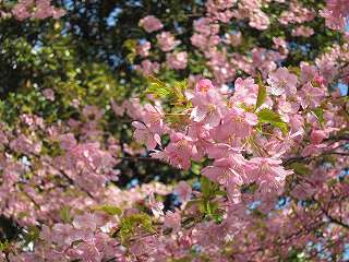 20120325-016.jpg