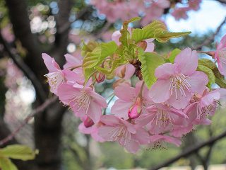 20120325-018.jpg