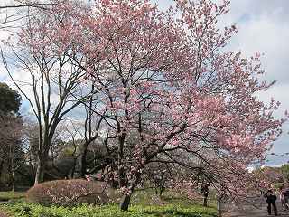 20120325-019.jpg