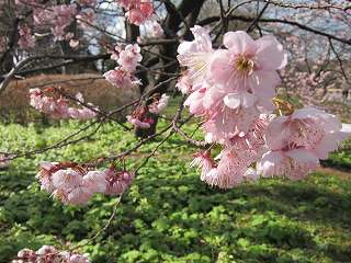 20120325-020.jpg