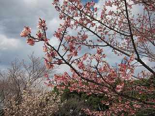 20120325-022.jpg