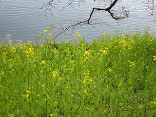 20120325-025.jpg