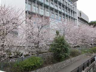 20120407-009.jpg