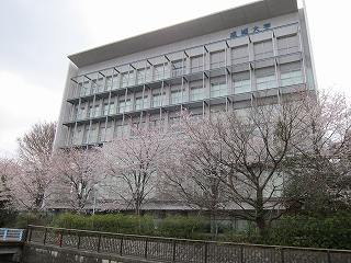 20120407-010.jpg