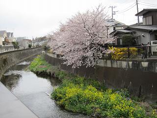 20120407-017.jpg