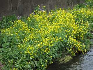 20120407-015.jpg