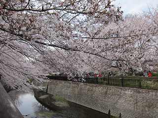 20120407-021.jpg