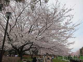 20120407-026.jpg