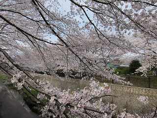20120407-027.jpg