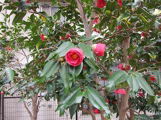 20120407-028.jpg