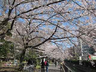 20120408-005.jpg