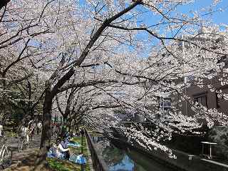 20120408-010.jpg