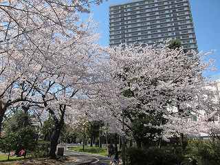 20120408-011.jpg