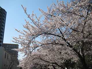 20120408-014.jpg