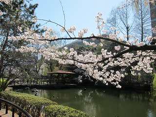20120408-001.jpg