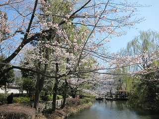 20120408-003.jpg