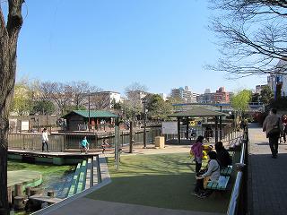 20120408-020.jpg