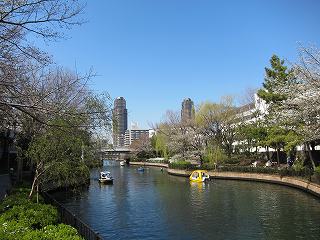 20120408-025.jpg