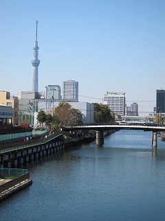 20120408-021.jpg