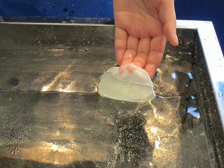 20120519-024.jpg