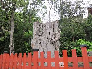 20120525-019.jpg