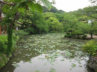 20120525-010.jpg