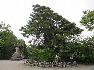 20120525-012.jpg