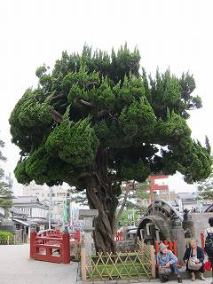 20120525-025.jpg