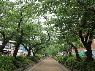 20120525-001.jpg