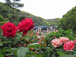 20120525-080.jpg