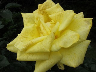20120525-069.jpg