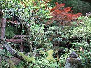 20120629-006.jpg