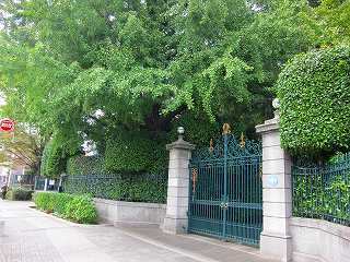 20121103-002.jpg