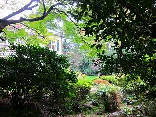 20121103-020.jpg