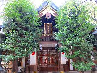 20121103-054.jpg