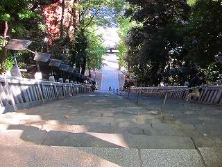 20121103-050.jpg