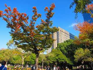 20121103-066.jpg