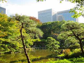 20121103-075.jpg