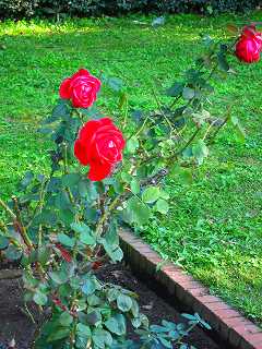 20121103-080.jpg