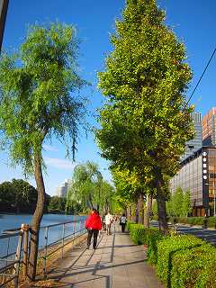 20121103-092.jpg